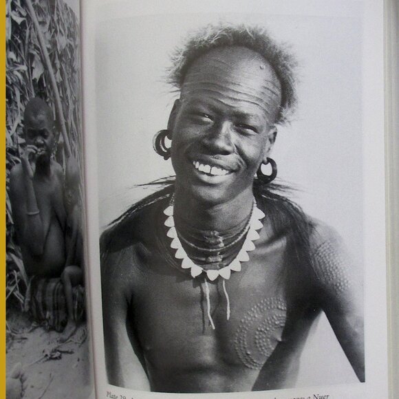 Book - Guns, Germs, and Steel: The Fates of Human Societies by Jared Diamond - Picture 7 of 10